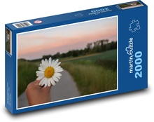 kvet rumančeka kamilkového Puzzle 2000 dielikov - 90 x 60 cm