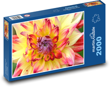 Yellow dahlias Puzzle 2000 pieces - 90 x 60 cm