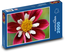 Červené juřiny Puzzle 2000 dielikov - 90 x 60 cm