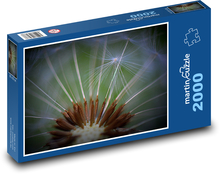 Dandelion - flower, fluff Puzzle 2000 pieces - 90 x 60 cm