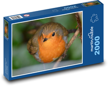 Červenka - príroda, vták Puzzle 2000 dielikov - 90 x 60 cm