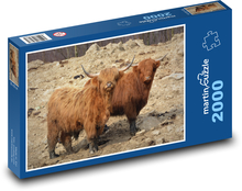 Cows in enclosure Puzzle 2000 pieces - 90 x 60 cm