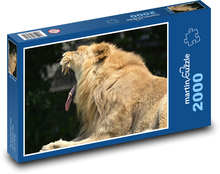 Lev, predátor, zvíře Puzzle 2000 dílků - 90 x 60 cm
