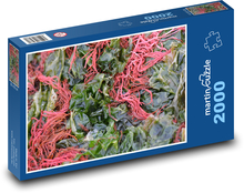 Algi w morzu Puzzle 2000 elementów - 90x60 cm
