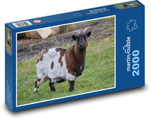 Ziege - Tier, Wiese Puzzle 2000 Teile - 90 x 60 cm