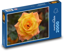 Żółty kwiat róży Puzzle 2000 elementów - 90x60 cm