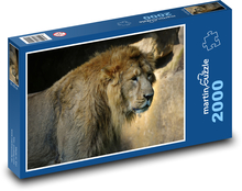 Lion - predator, mammal Puzzle 2000 pieces - 90 x 60 cm