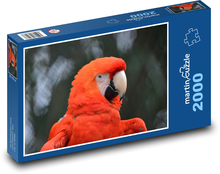 Papagei - Vogel, Schnabel Puzzle 2000 Teile - 90 x 60 cm