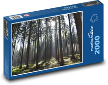 Les - příroda, stromy Puzzle 2000 dílků - 90 x 60 cm
