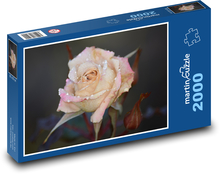 Rose - Blume, Natur Puzzle 2000 Teile - 90 x 60 cm