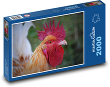 Kohout - drůbež, zvíře Puzzle 2000 - 90x60 cm