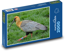 Ptak - dziób, zwierzę Puzzle 2000 elementów - 90x60 cm