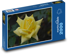 Růže - květ, žlutá Puzzle 2000 dílků - 90 x 60 cm