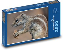 Squirrel - food, animal Puzzle 2000 pieces - 90 x 60 cm
