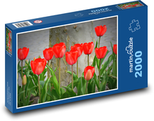 Tulipány - príroda, kvety Puzzle 2000 dielikov - 90 x 60 cm
