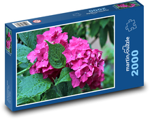 Hortensja - różowa, rosa Puzzle 2000 elementów - 90x60 cm