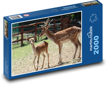 Daňci - laň, zvíře Puzzle 2000 dílků - 90 x 60 cm