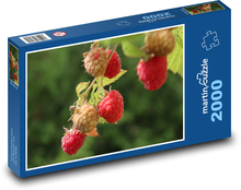 Raspberries - summer, fruit Puzzle 2000 pieces - 90 x 60 cm