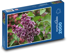 Flieder - Blume, Strauch Puzzle 2000 Teile - 90 x 60 cm