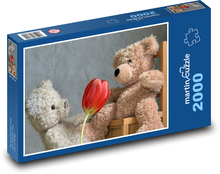 Medvídek - Valentýn, dárek Puzzle 2000 dílků - 90 x 60 cm