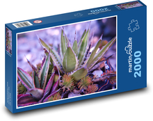 Kaktus - sukulenty, kvety Puzzle 2000 dielikov - 90 x 60 cm