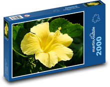 Hibiscus - yellow flower Puzzle 2000 pieces - 90 x 60 cm