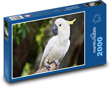 Cockatoo - white bird Puzzle 2000 pieces - 90 x 60 cm