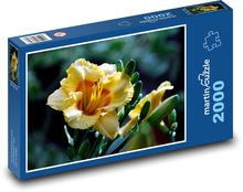 Lilies - flower, petals Puzzle 2000 pieces - 90 x 60 cm