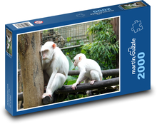 Białe małpy w zoo Puzzle 2000 elementów - 90x60 cm