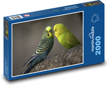 Andulka - ptáci, zvířata Puzzle 2000 dílků - 90 x 60 cm