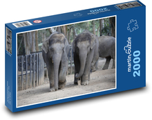 India - slony, cicavce Puzzle 2000 dielikov - 90 x 60 cm