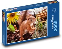 Veverička - zviera, mláďa Puzzle 2000 dielikov - 90 x 60 cm