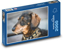 Jamnik - pies Puzzle 2000 elementów - 90x60 cm