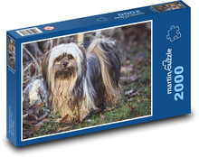Roztomilý psík v prírode Puzzle 2000 dielikov - 90 x 60 cm