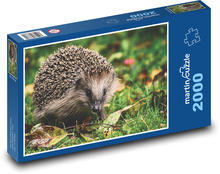 Ježek v trávě Puzzle 2000 dílků - 90 x 60 cm