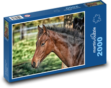Horse - foal Puzzle 2000 pieces - 90 x 60 cm
