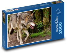 Vlk - divoký dravec Puzzle 2000 dielikov - 90 x 60 cm