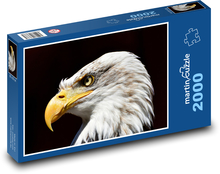 Bald Eagle - Predator Puzzle 2000 pieces - 90 x 60 cm