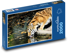 Tygr - dravec, žíznivý Puzzle 2000 dílků - 90 x 60 cm