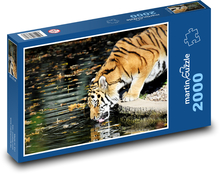 Tiger am Wasser Puzzle 2000 Teile - 90 x 60 cm