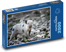 Prasiatko na kameňoch Puzzle 2000 dielikov - 90 x 60 cm