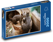 Eichhörnchen - Baum, Nagetiere Puzzle 2000 Teile - 90 x 60 cm