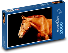 Horse - Stallion Puzzle 2000 pieces - 90 x 60 cm