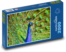 Páv - pávica, perie Puzzle 2000 dielikov - 90 x 60 cm