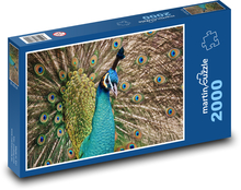 Peacock - peacock Puzzle 2000 pieces - 90 x 60 cm