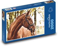 Horse - Stallion Puzzle 2000 pieces - 90 x 60 cm