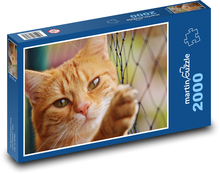 Mačka - hrdzavá, roztomilá Puzzle 2000 dielikov - 90 x 60 cm