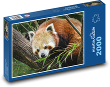 Panda - medvědí kočka Puzzle 2000 dílků - 90 x 60 cm