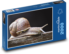 Crawling snail Puzzle 2000 pieces - 90 x 60 cm