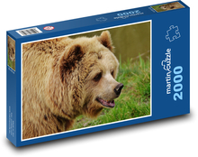 Bär im Zoo Puzzle 2000 Teile - 90 x 60 cm
